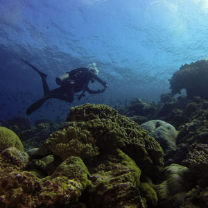 banda neira, ojel, bagus nyoman, yeyen taryono, bubbles dive center